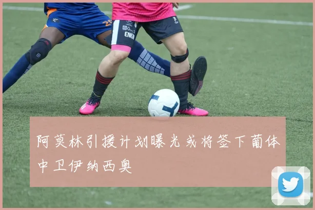 阿莫林引援计划曝光或将签下葡体中卫伊纳西奥